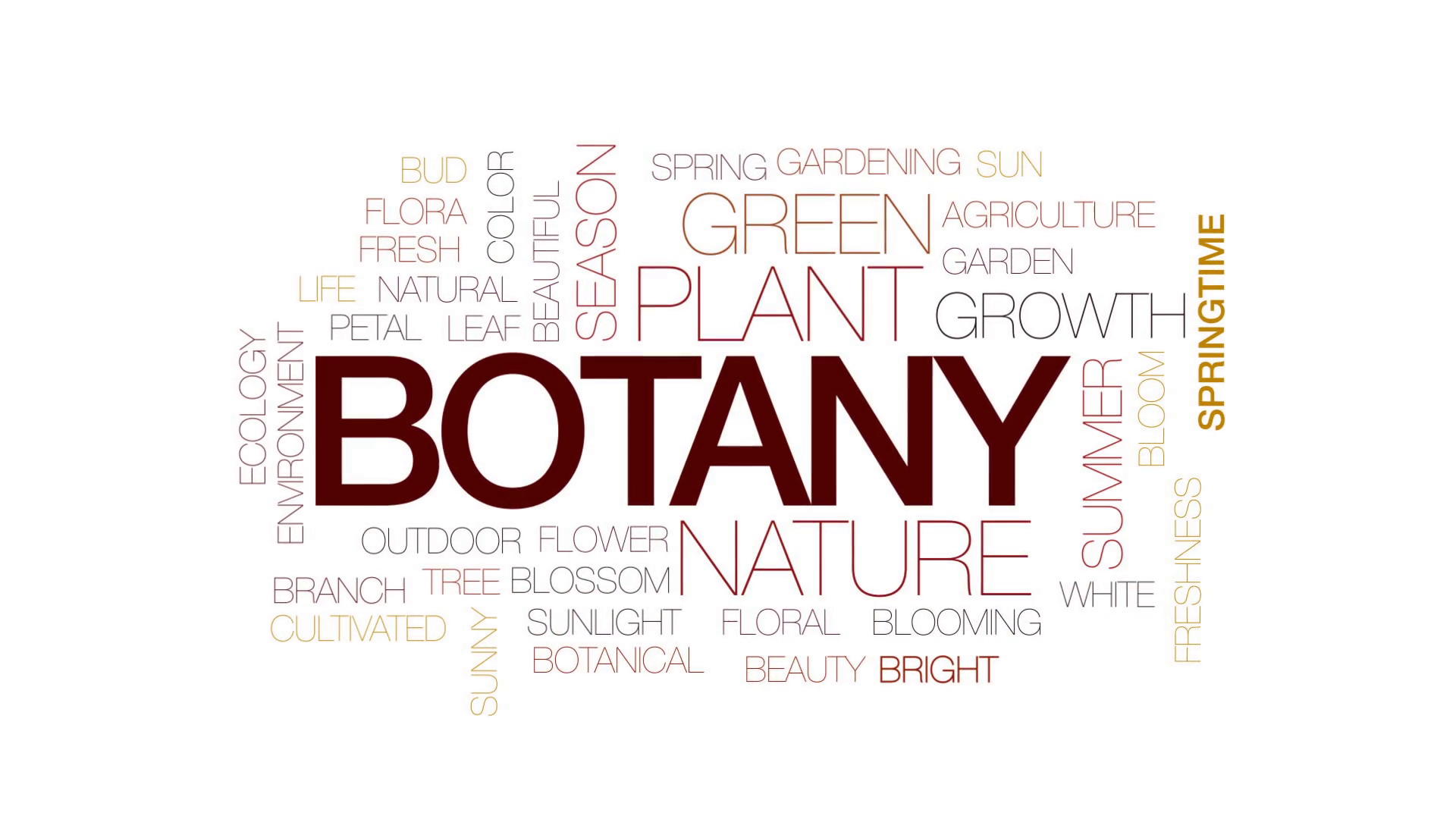 JAMB Subject Combination for Botany