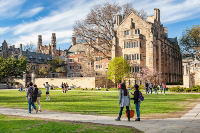 Scholarships at Yale University, USA + Scholarship at Vienna Biocenter, Austria 2023