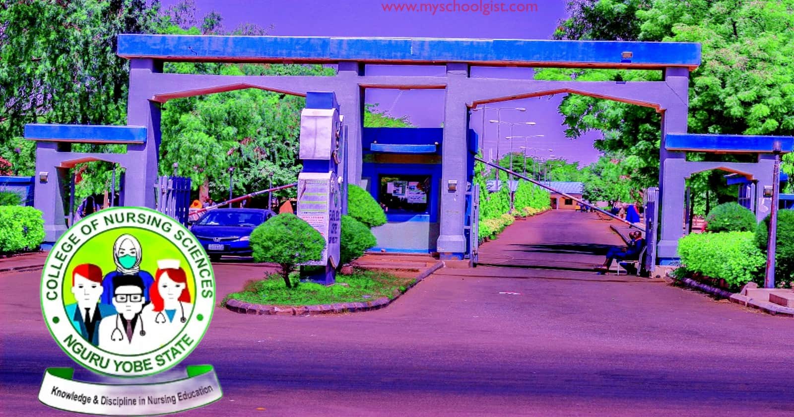 College of Nursing Sciences Nguru Admission Form