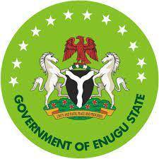 Enugu government clamps down on illegal private schools