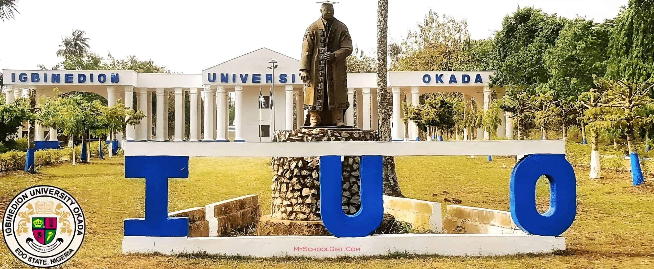 Igbinedion University JUPEB Programme Admission Form