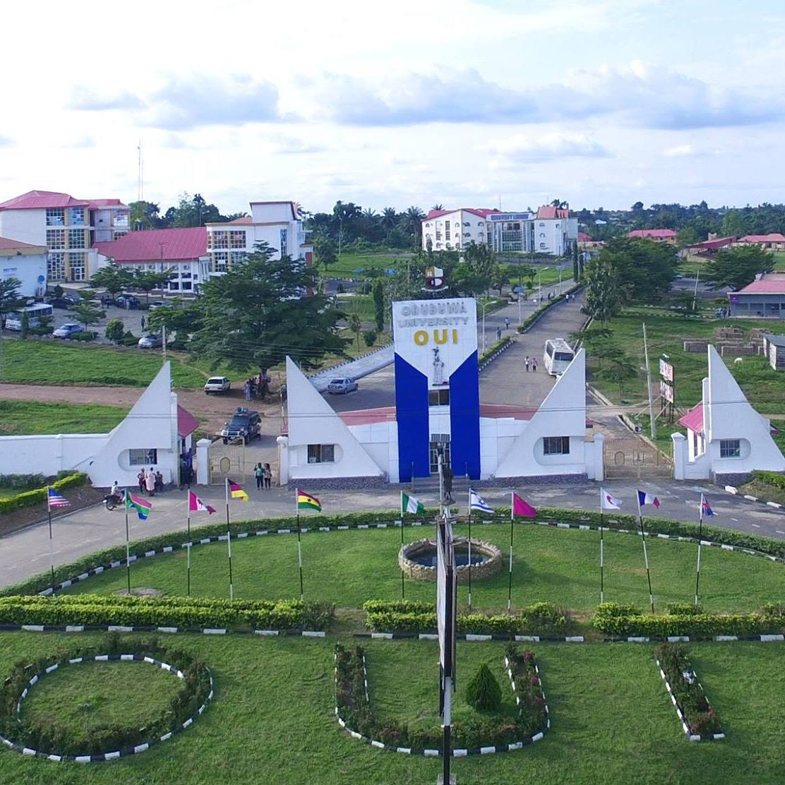 Oduduwa University Postgraduate Admission Form