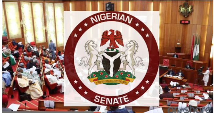 Senate passes bill to establish Federal College of Education in Edo