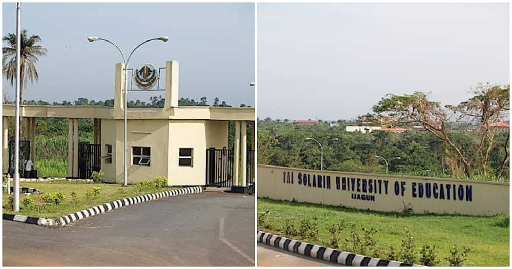 TASUED reopens/ TASUED/ Ogun Education varsity